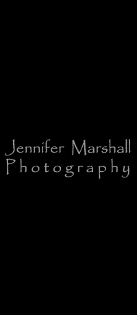 Jennifer Marshall Photography