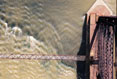 Tressel Bridge #095