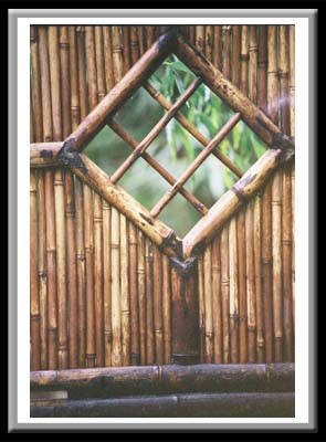 167 Bamboo Gate