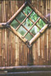 Bamboo Gate #167