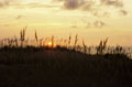 014 Sunrise and Sea Oats