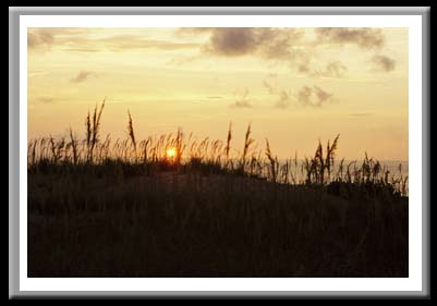 014 Sunrise and Sea Oats, Outerbanks, North Carolina