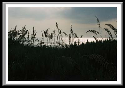 072 Moonrise and sea Oats, Outerbanks, North Carolina