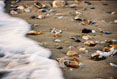 109 Beach, Cape Hatteras National Seashore, North Carolina 