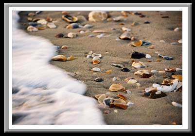 109 Beach, Cape Hatteras National Seashore, North Carolina