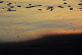 110 Sand in Sunset, Cape Hatteras National Seashore,  North Carolina