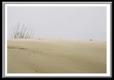 112 Dunes in Wind, Cape Hatteras National Seashore, North Carolina