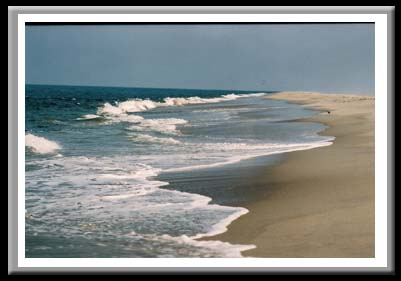 180 Cape Hatteras National Seashore, Pea Island National Refufge, North Carolina