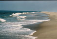 180 Cape Hatteras National Seashore, Pea Island National Refuge, North Carolina