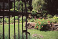 Cornell Plantations, Cornell University, Ithaca New York  #139