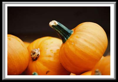 154 Gourds 