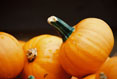 Gourds  #154
