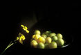 Dessert Plums and Flower