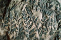 Fossil 2