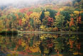 Fall Reflections, Binghamton University Nature Preserve, Binghamton New York #169