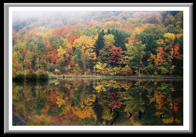 169 Fall Reflections, Binghamton University Nature Preserve, Binghamton, New York