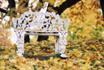 188 Bench in Fall 