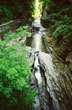Enfield Gorge #031
