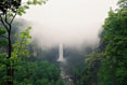 049 Taughannock Fall in Fog & Bridge, Taughannock State Park, Trumansburg New York