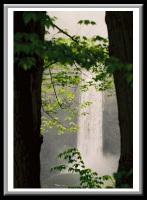 052 Taughannauck Falls Through Trees, Taughannauck Falls State Park, Trumansburg, New York