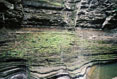 Ledge with Water, Watkins Glen State Park #070