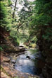Buttermilk Falls Path, Buttermilk Falls State Park #165