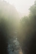 Suspension Bridge, Cornell University #178