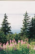 Grand Manan, Nova Scotia #016