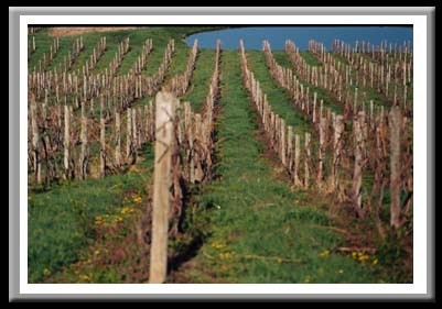 086 Vineyards, Finger Lakes, New York