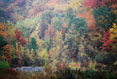 Footbridge in Fall, Binghamton University Nature Preserve, Binghamton,